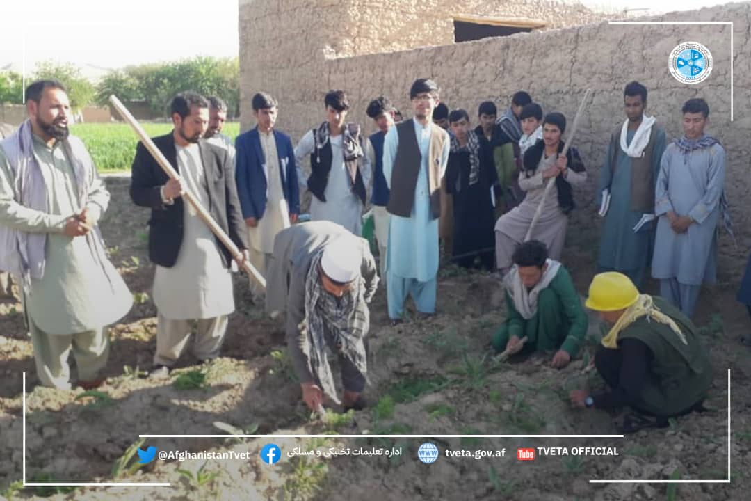 آموزش عملی