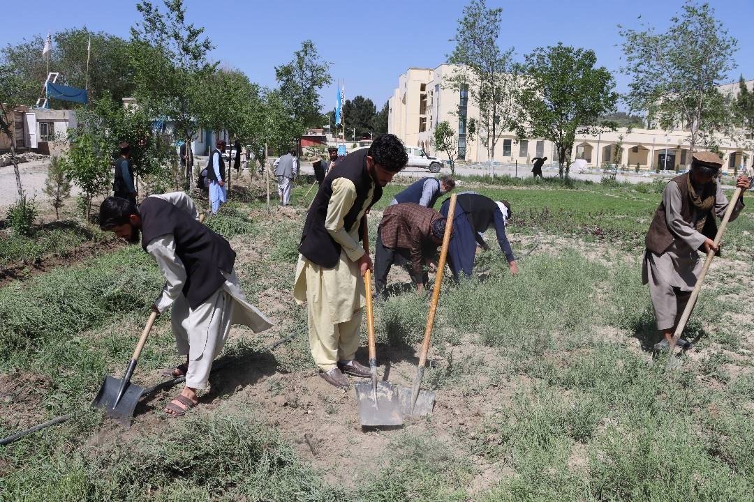 راه‌اندازی حشر 