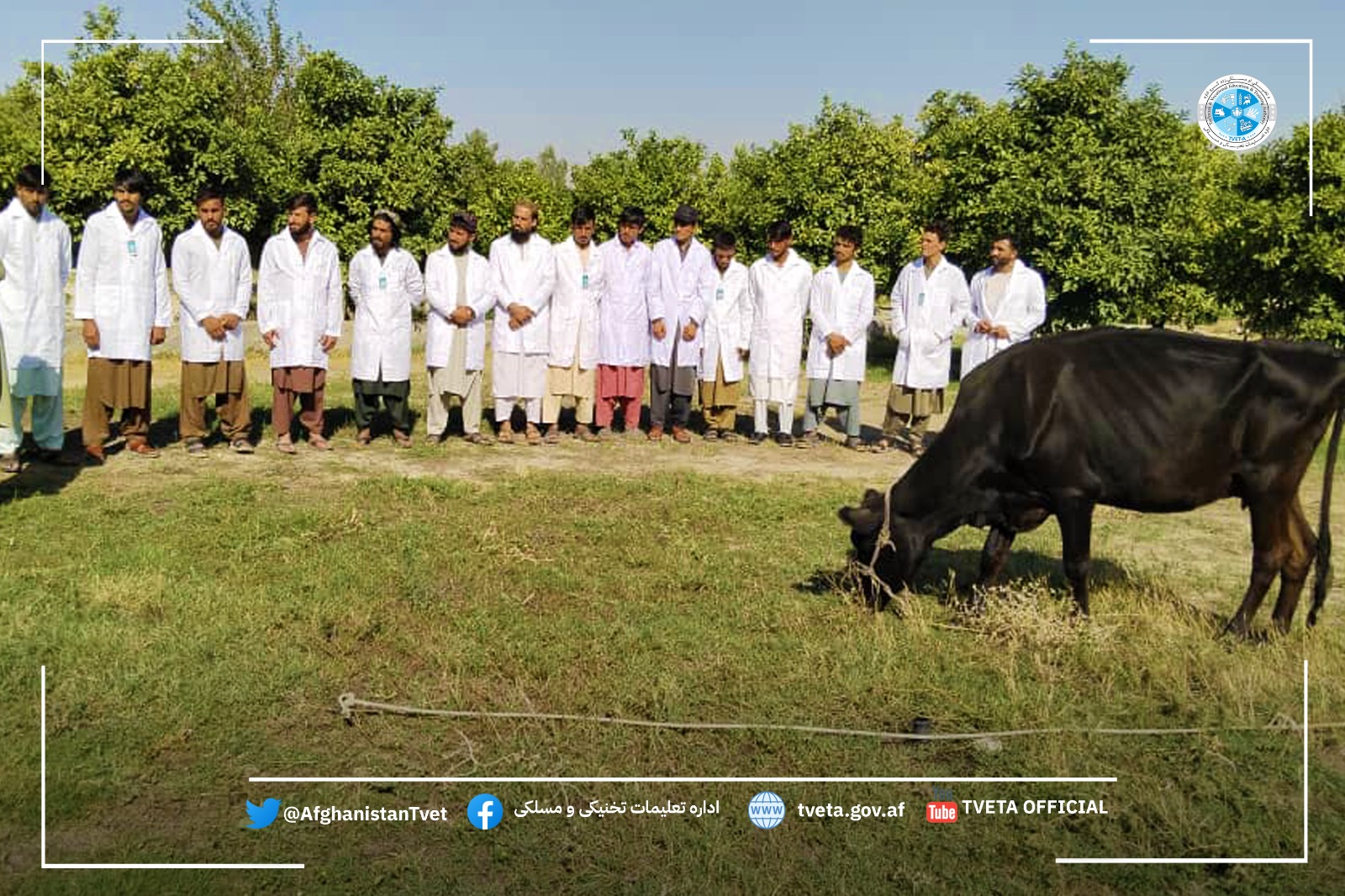 کار عملی